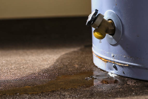 Best Water damage contractors near me  in Black Canyon City, AZ