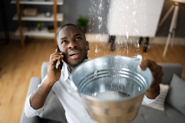 Best Sewage cleanup and water damage restoration  in Black Canyon City, AZ