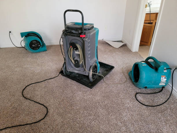 Best Commercial water damage restoration  in Black Canyon City, AZ