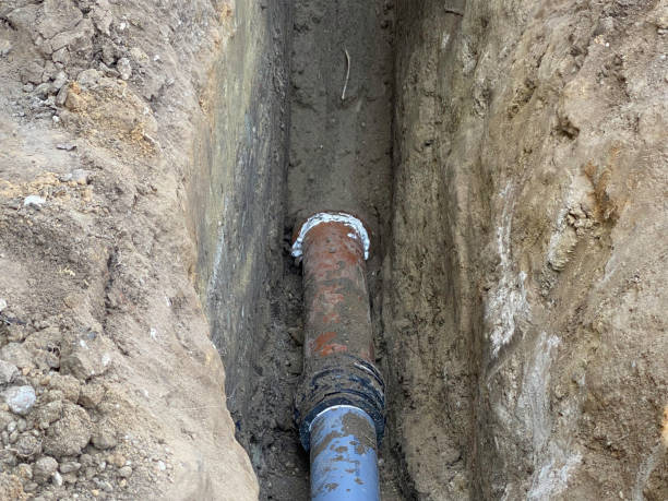 Best Flood damage cleanup  in Black Canyon City, AZ