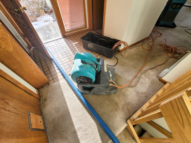 Best Water damage cleanup near me  in Black Canyon City, AZ