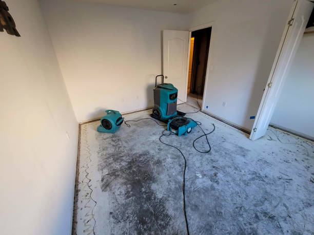 Water damage restoration mold remediation in Black Canyon City, AZ