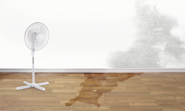 Fire Damage Restoration in Black Canyon City, AZ