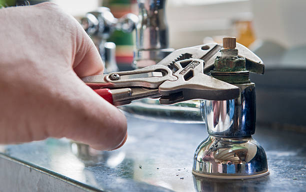 Best Flooded house restoration  in Black Canyon City, AZ