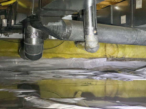 Best Carpet water damage restoration  in Black Canyon City, AZ