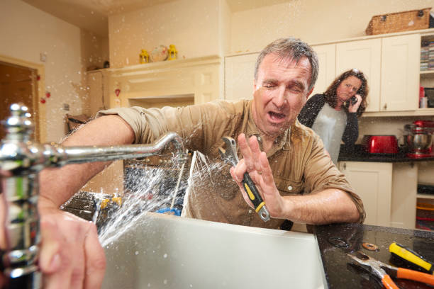 Best Basement water damage restoration  in Black Canyon City, AZ